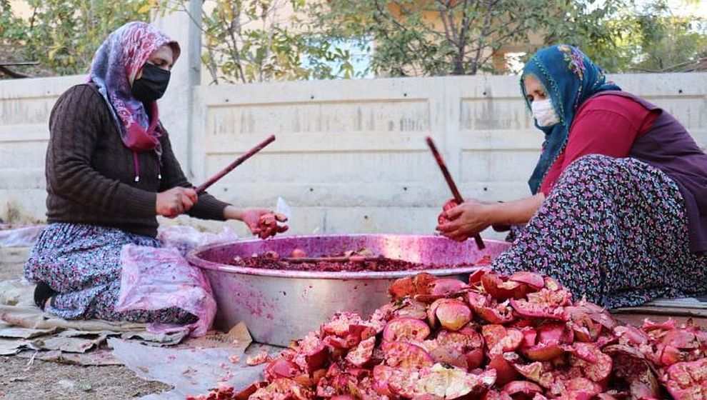 'Nar Ekşisi' mesaisi başladı...