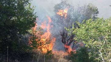 Doğanyol'da 150 dönümlük meşelik alan yandı