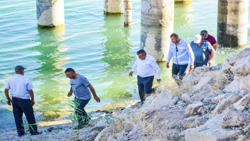 Yazıhan'da 35 bin kayısı ağacının sulama problemi çözülüyor