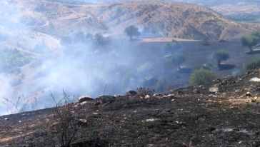 Taşmış Köyünde 70 dönüm Ormanlık alan yandı 