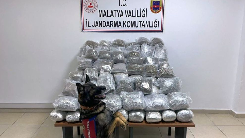 Malatya'da  değeri 10 milyon TL olan 83 kilo Skunk  ele geçirildi