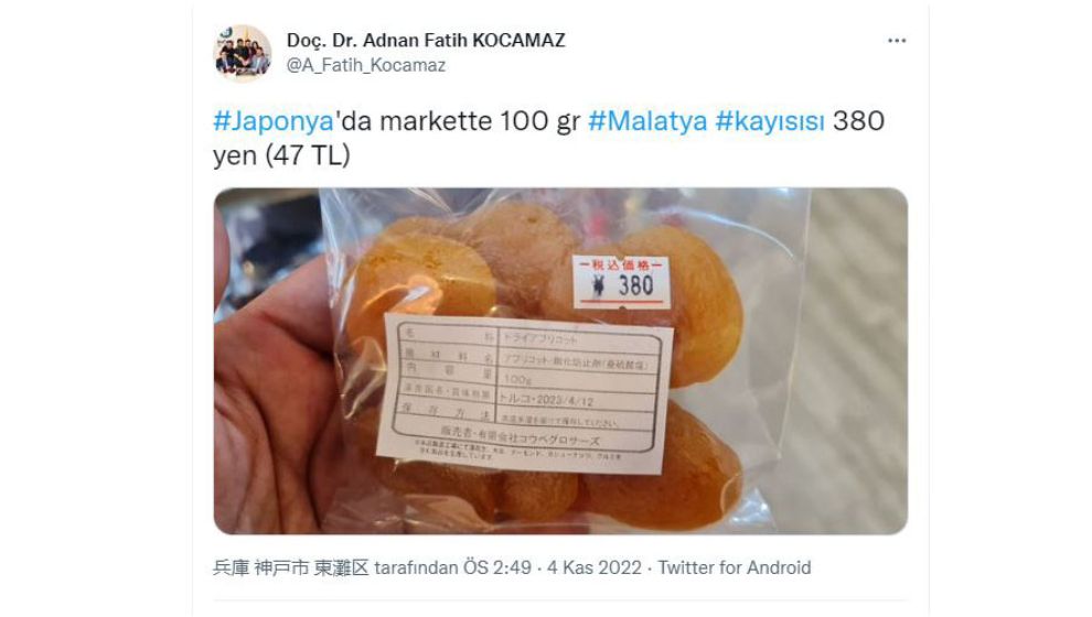 Japonya'da 1 kilo kayısı 470 TL'ye denk geliyor