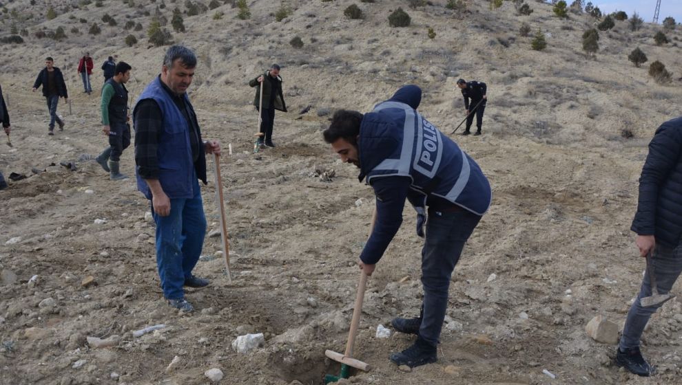 Şehit Komiser Yardımcısı için Darende'de fidan dikimi yapıldı