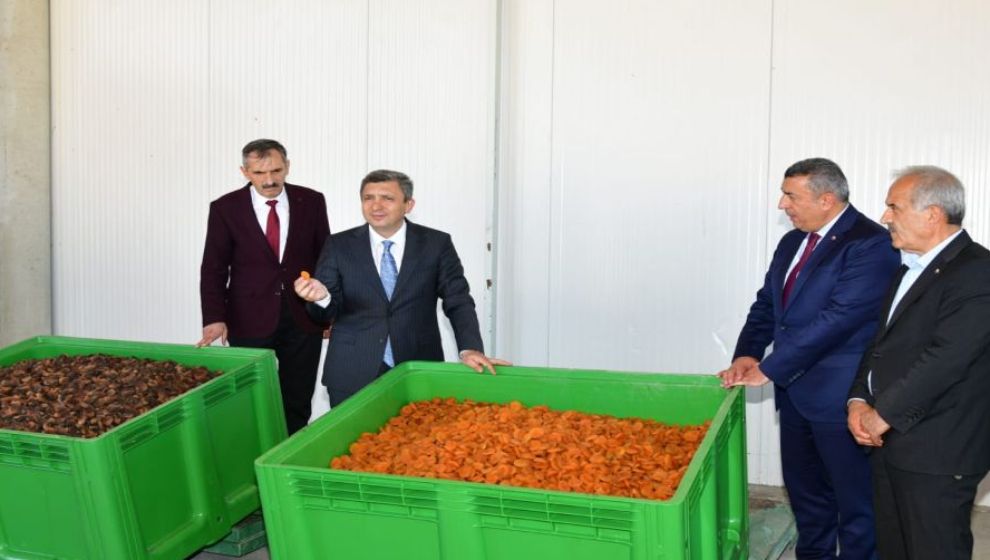 Malatya'da tahmini kuru kayısı rekoltesi 77 bin 170 ton