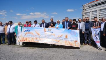 Malatya'da “Tarladan Sofraya Tarım Lisesi” Projesinde buğday Hasadı Yapıldı