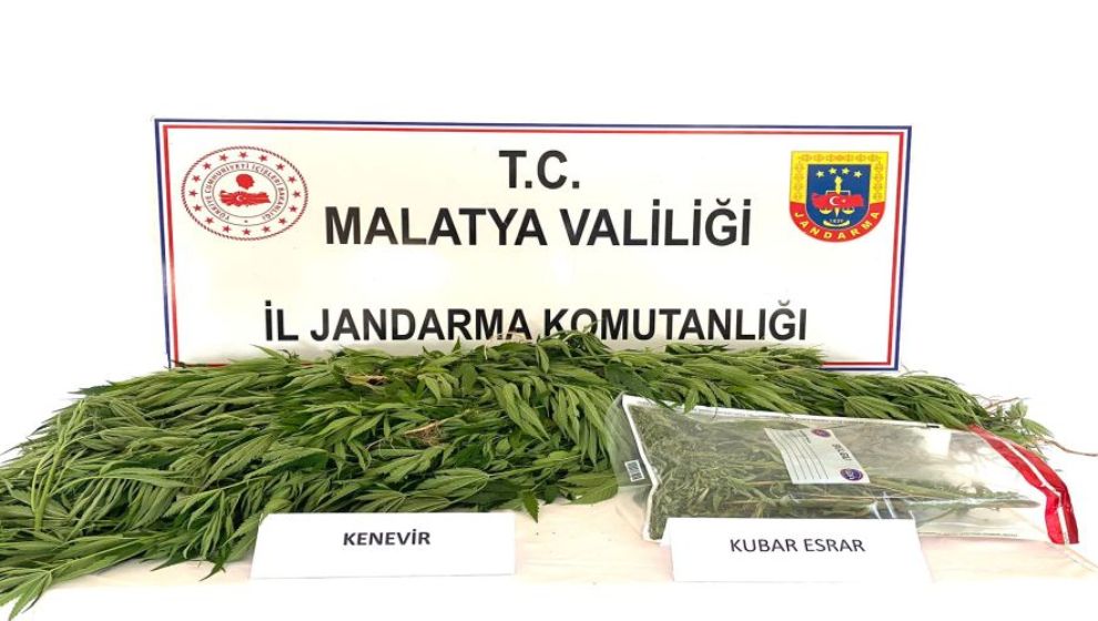 Malatya'da 308 gram esrar ve 146 kök kenevir ile yakalanan şüpheli serbest bırakıldı