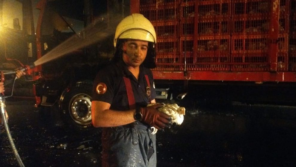 Malatya'da 1 TIR dolusu tavuk yanmaktan kurtarıldı