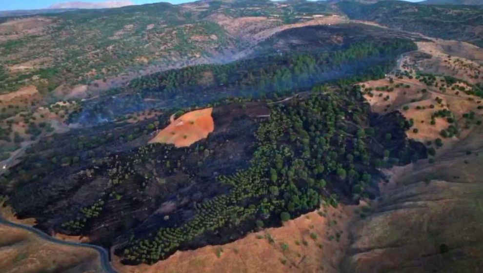 Pütürge'de 400 Dönümlük Ormanlık Alanı Yandı