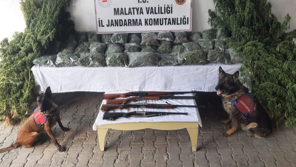 Jandarmanın 36 Kilo Esrar Operasyonunda 2 Kişi Tutuklandı