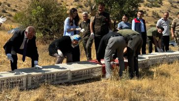 Doğanyol'da Doğaya Keklik Salımı Gerçekleşti