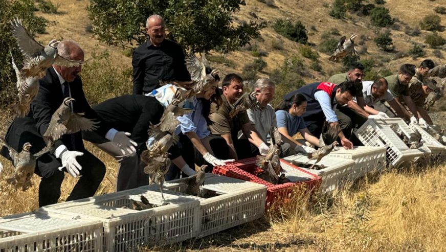 Doğanyol'da Yaban Hayvanlarını Koruma Çalışmaları Başladı