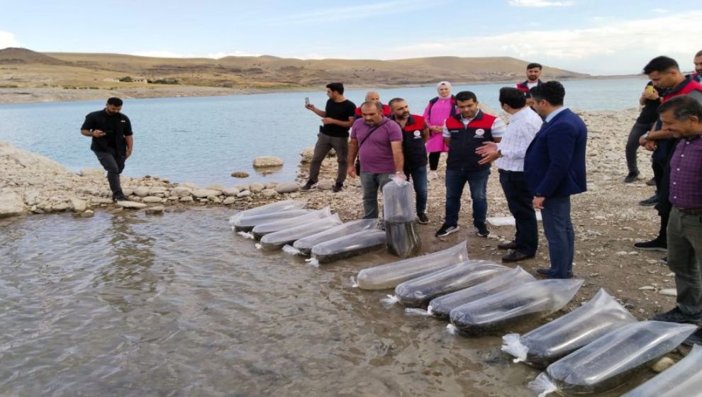 Malatya'da baraj, göl ve göletlere 1 milyon sazan