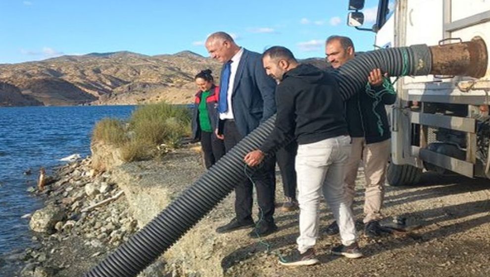 Fırat ve Dicle'nin balığı Şabut'tan 750 bin adet Karakaya'ya bırakıldı