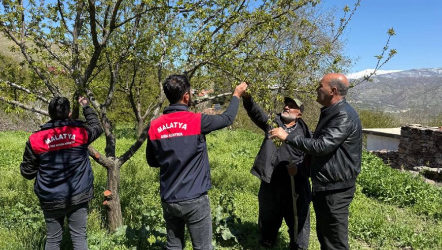 Pütürge'de Don Zararı Sonrası Üreticilere Teknik Destek
