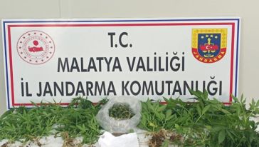 Jandarmanın operasyonunda 3 kişi tutuklandı 