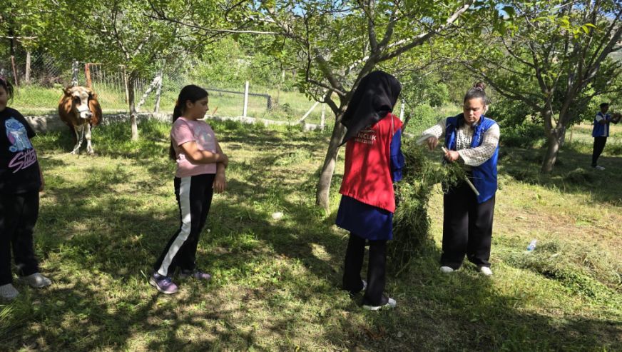Pütürge Gençlik Merkezi'nden "Hasat Etkinliği": Gençler Tarımla Buluştu