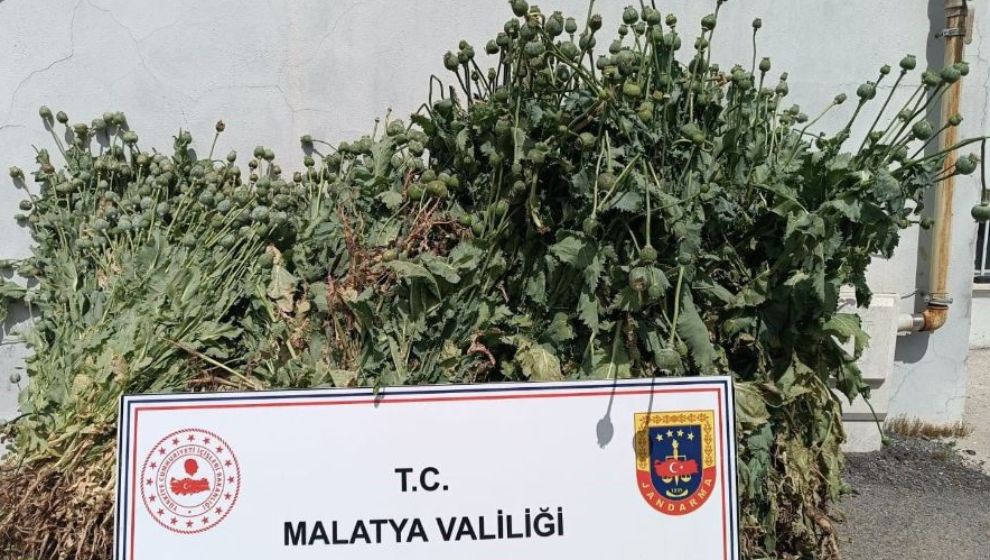 Jandarmadan 5 ilçede operasyonu: 12 gözaltı