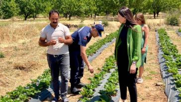 Doğanyol Kaymakamı'ndan Çilek Üreticisine Ziyaret
