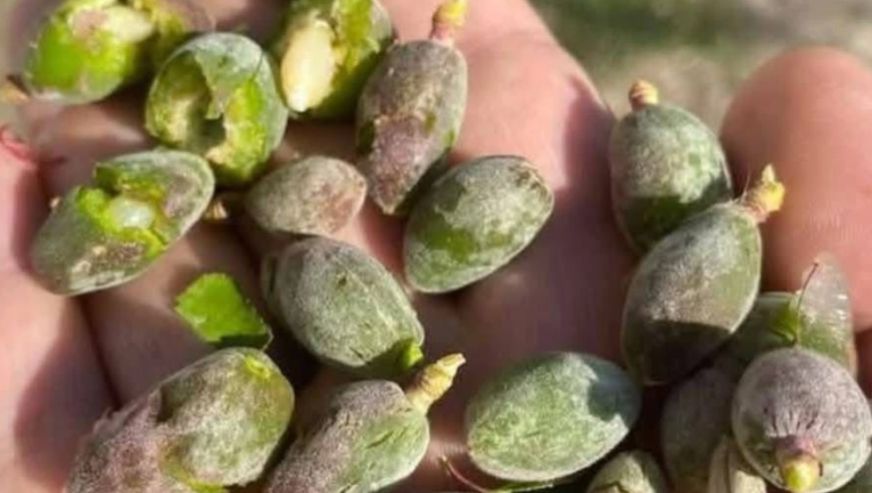 Malatya'nın "Genel Hayata Etkili Afet Bölgesi" ilan edilmesini talep etti