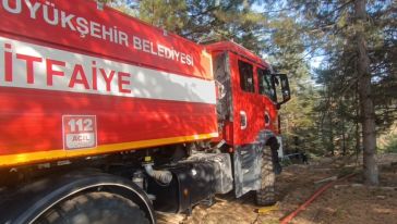 Burçköy ile Bayırköy arasında orman yangını çıktı