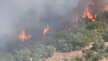 Doğanyol'da Orman Yangını çıktı, Ekipler Müdahale Ediyor