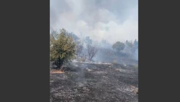 Doğanyol'un Yalınca Bölgesinde Orman Yangını