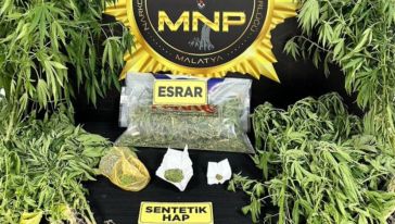 Operasyonda esrar ve kenevir bitkisi ele geçirildi
