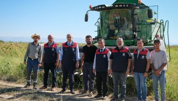 Yazıhan'da ayçiçeği hasadı yapıldı