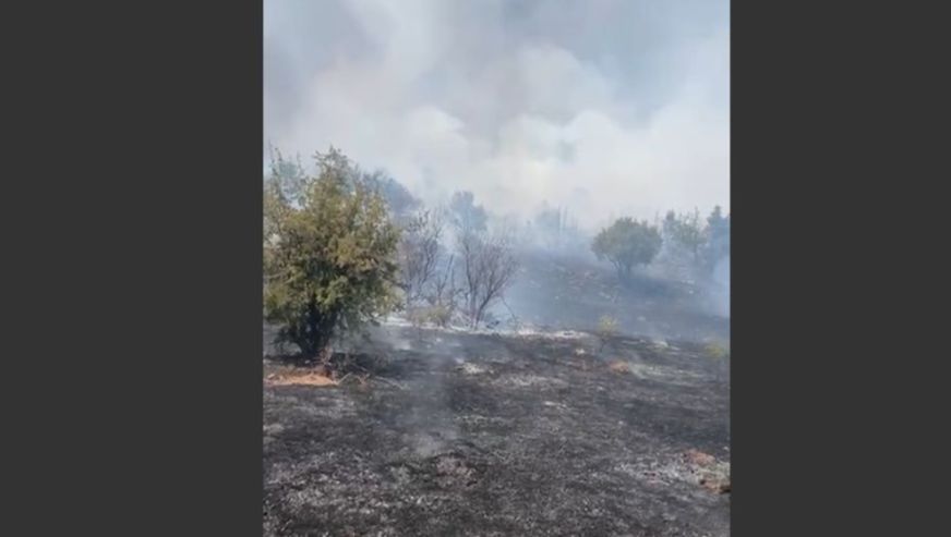 Doğanyol'un Yalınca Bölgesinde Orman Yangını