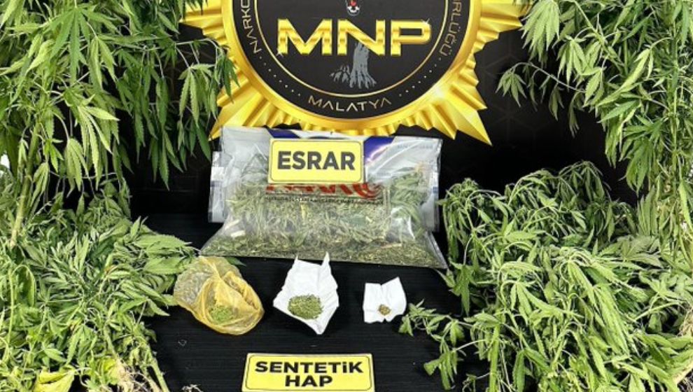 Operasyonda esrar ve kenevir bitkisi ele geçirildi