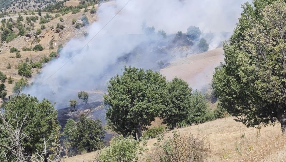 Pütürge Alihan Mahallesi yangını kontrol altına alındı