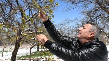 Malatya'nın 1 milyar Dolar Kaybı Var