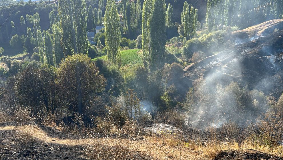 Nohutlu'da Yangın Çıktı, Evlere Yaklaşmadan Söndürüldü