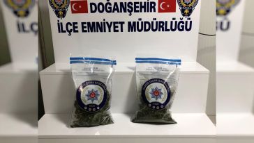 Doğanşehir'de Uyuşturucu Operasyonu, 1 Tutuklama 