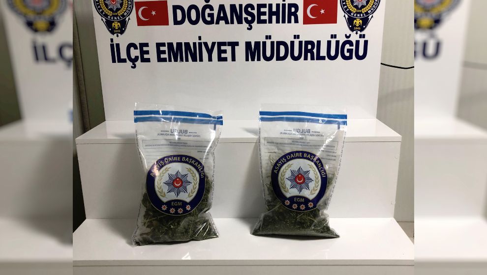 Doğanşehir'de Uyuşturucu Operasyonu, 1 Tutuklama
