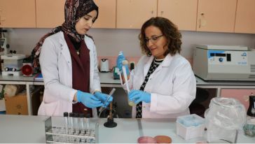 Çiğ Sütteki Sessiz Tehlikeyi Ortaya Koydu