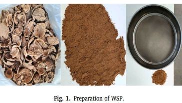 Malatya Cevizi Bu Kez Bilimle Dünyaya Açıldı: Sürdürülebilir Asfalt Teknolojisi