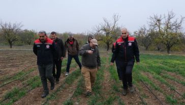 Malatya'da Safran Üretimi Yüz Güldürdü