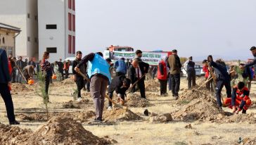 Pütürge'de "Sevdamız Yeşil Vatan" Temalı Fidan Dikim Etkinliği