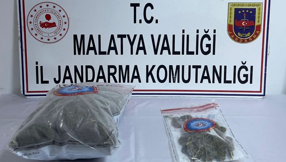 Arapgir'de uyuşturucu operasyonu, 1 gözaltı