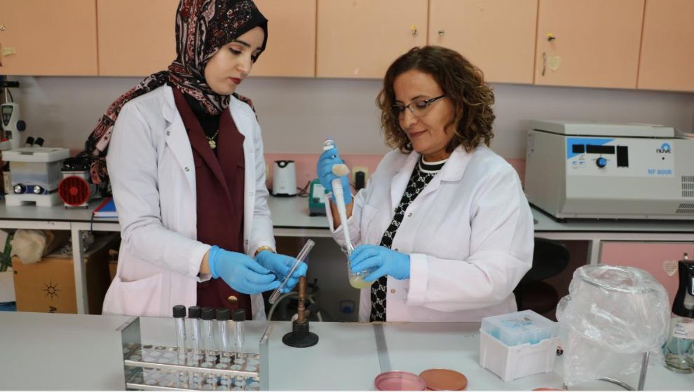 Çiğ Sütteki Sessiz Tehlikeyi Ortaya Koydu