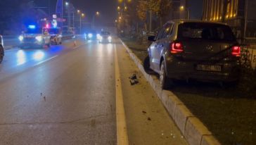 Köpeğe Çarpmamak İstedi, Canından Oluyordu