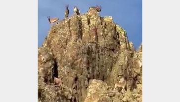 Vali Yavuz: "Zenginliği Aktarmak Hepimizin Sorumluluğu"