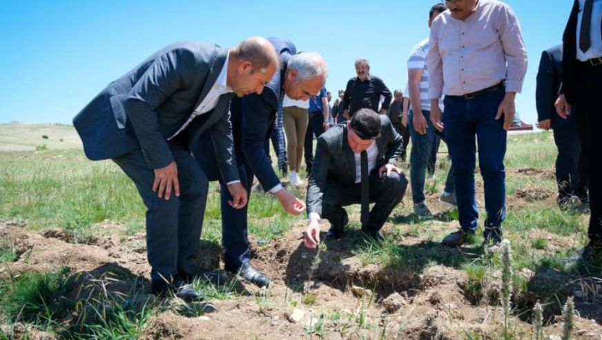 Malatya Meralarına Protein Deposu Tuz Çalısı Dikildi