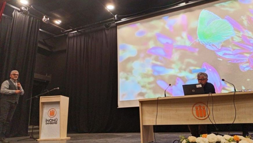 Malatya'daki Son Kelebek Türü Doğanyol'da Fotoğraflandı