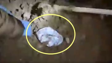 Jandarmadan Akçadağ ve Battalgazi'de operasyon 