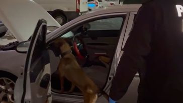 Malatya'da 13 Torbacı Tutuklandı