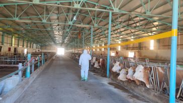 TÜRKVET kayıt sistemine işlenmesi çalışmaları devam ediyor