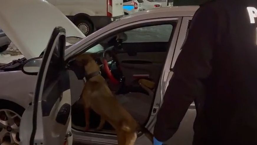 Malatya'da 13 Torbacı Tutuklandı