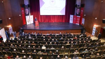 Kayısı Üretiminde Verimlilik ve Modern Teknikler